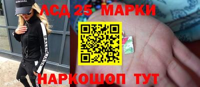 амф Владимир