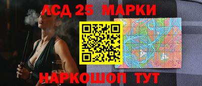 амф Владимир